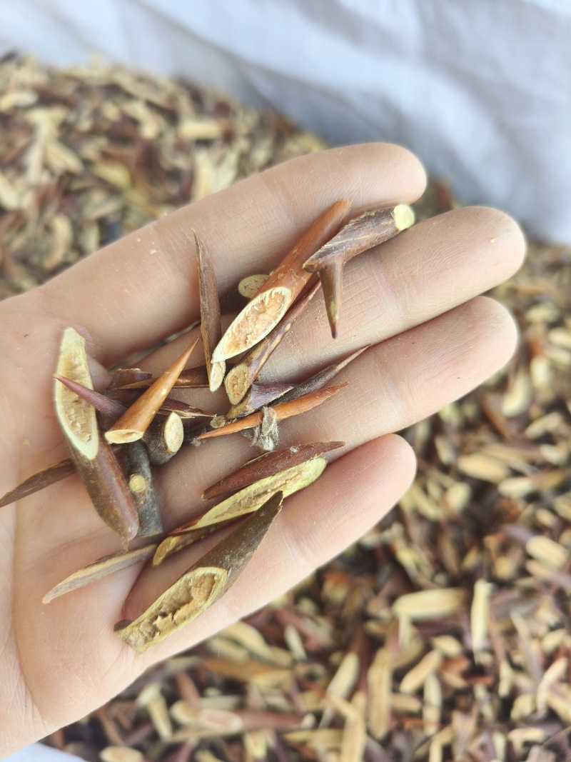 皂针皂刺今年新货颜色好祥泰药材栈中药材批发零售