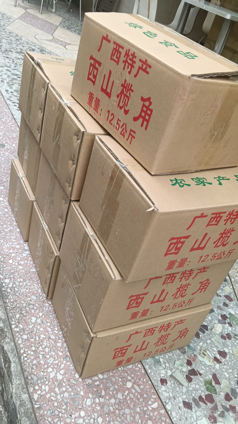 榄角山林里的咸香宝藏：一颗榄角，藏着老广的下饭魂