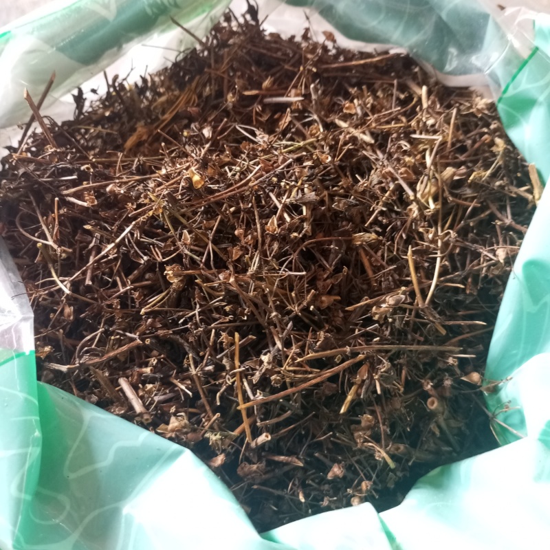 青叶胆产地直供支持线上交易可搭配多品种采购大货联系