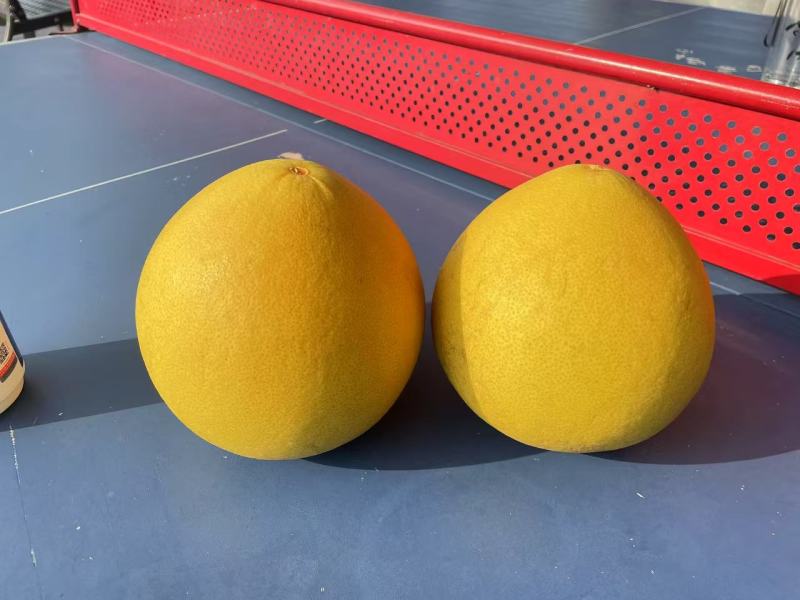 黄心蜜柚