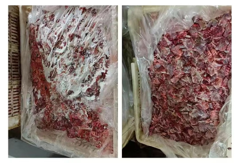 鸭肺现货20吨5吨起发正规工厂直发
