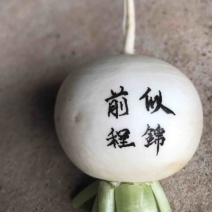 圆白萝卜，元宝种子，诚信自种，合作社自发，带泥装袋