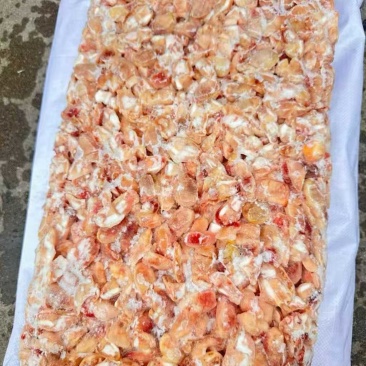 二级鸡脚筋现货10吨10×2袋装工厂直发手续齐全
