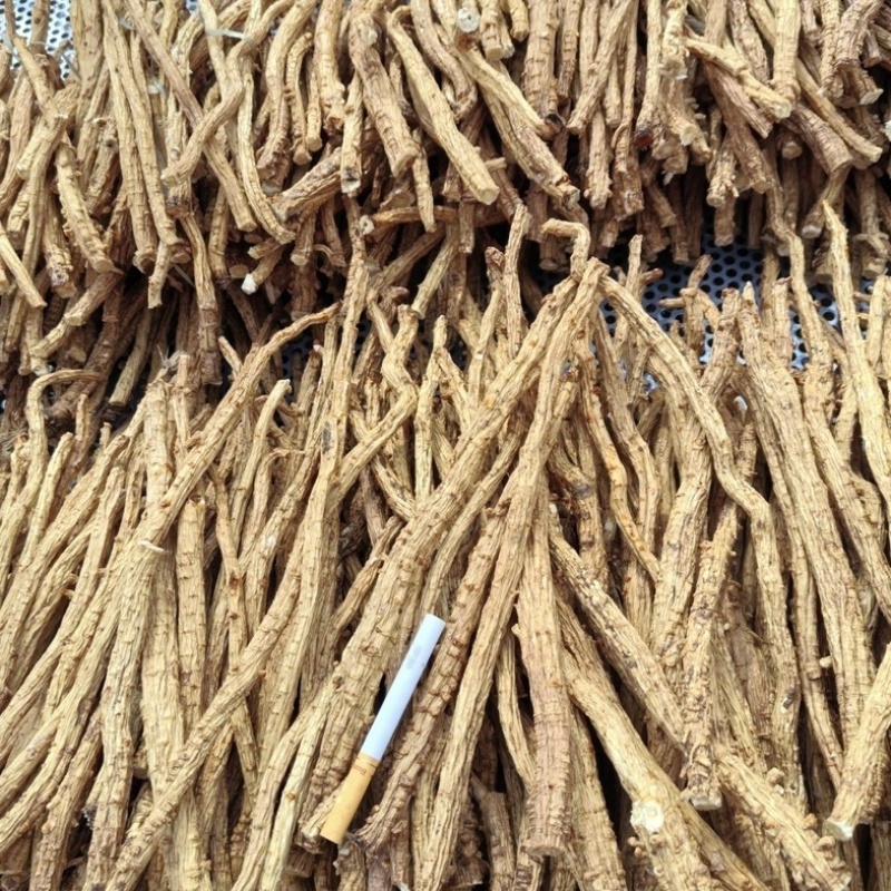 正宗防风节子寸节量大从优批发零售防风长段防风中药材