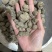 三叶青金线吊葫芦实物拍摄三叶青干货白茬芯三叶青