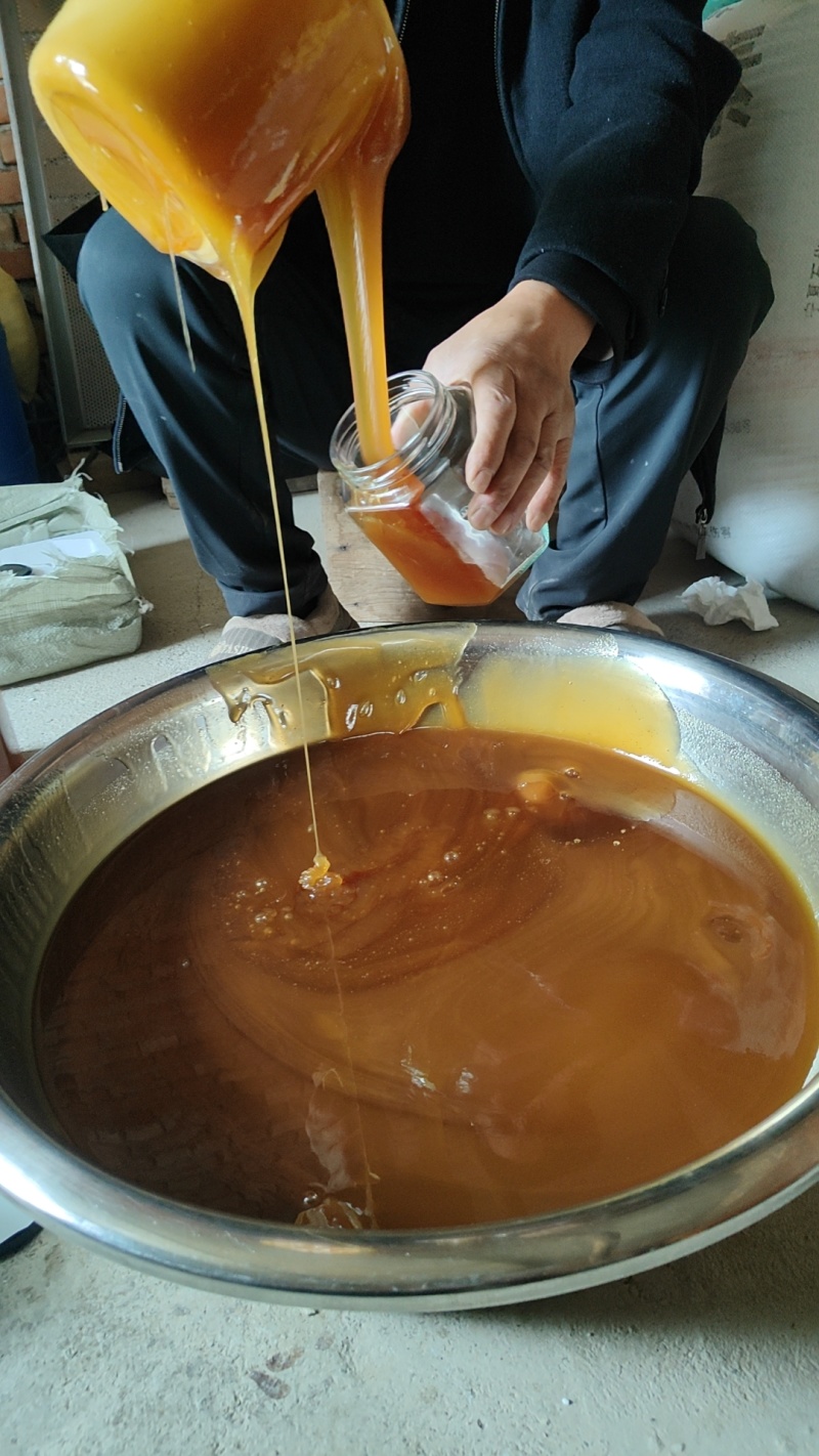 土蜂蜜自家老蜂，圆巢蜂蜜，自产自销，包质量