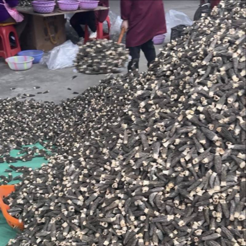 精品5-7厘米批发价电商供应，价格优惠