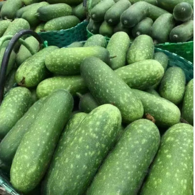 毛节瓜精品发货对接电商市场按需配送全国保质量