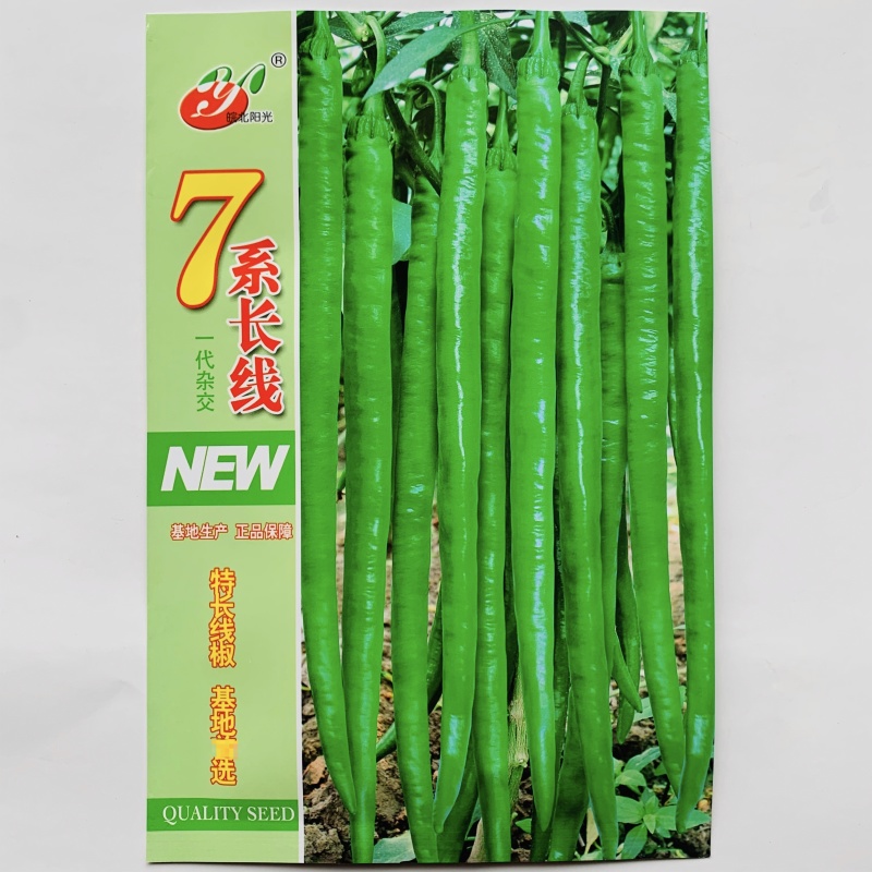 7系长线椒种籽基地专用加长加粗型特长线椒种子辣味香浓皮薄