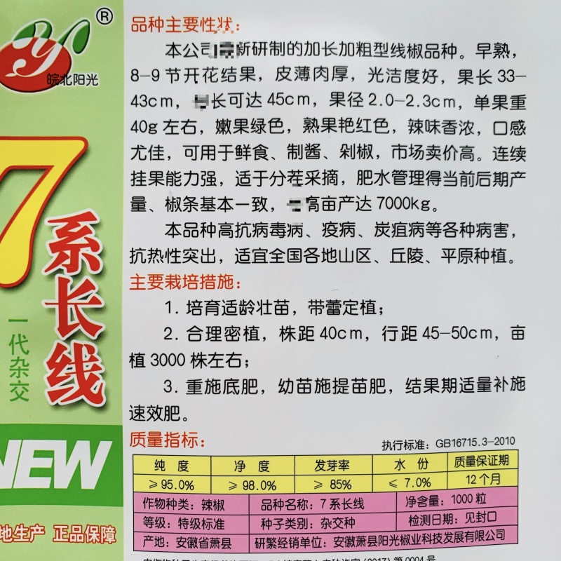 7系长线椒种籽基地专用加长加粗型特长线椒种子辣味香浓皮薄