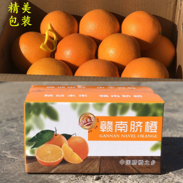 脐橙