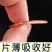 东北长白山鹿鞭片成年种鹿男性滋补泡酒料煲汤料买就包邮