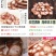 东北长白山鹿鞭片成年种鹿男性滋补泡酒料煲汤料买就包邮