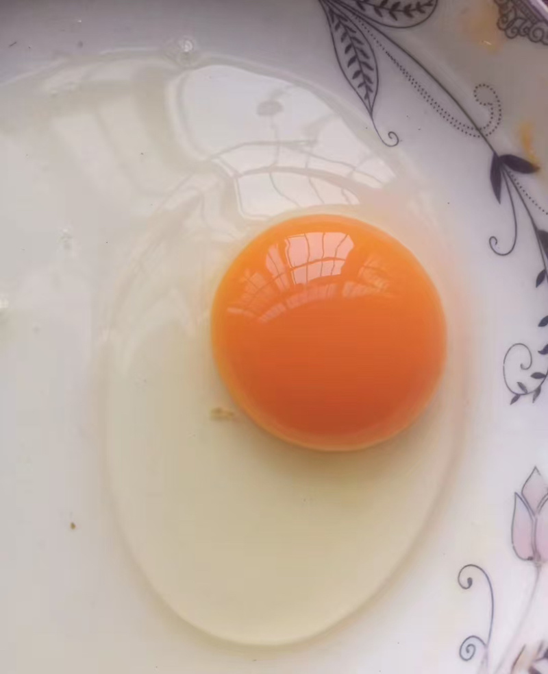 精品鸡蛋批发