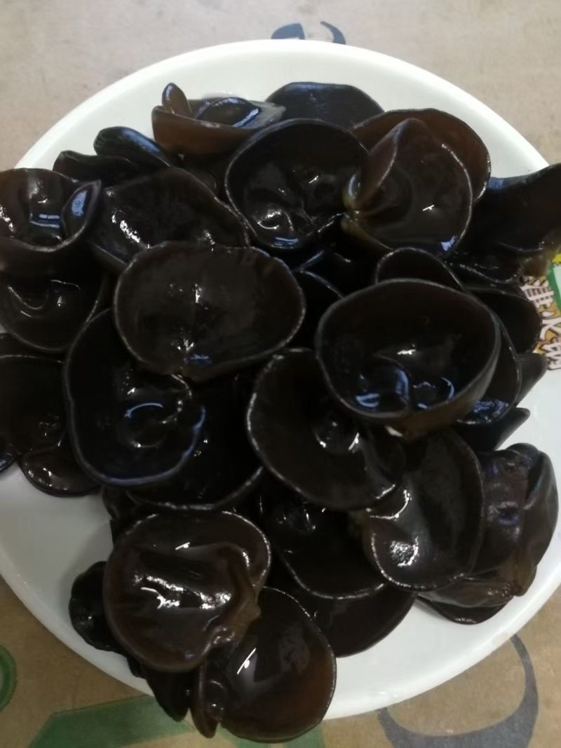 东北马姐秋木耳批发