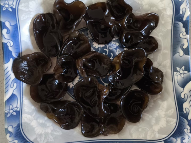 东北马姐秋木耳批发