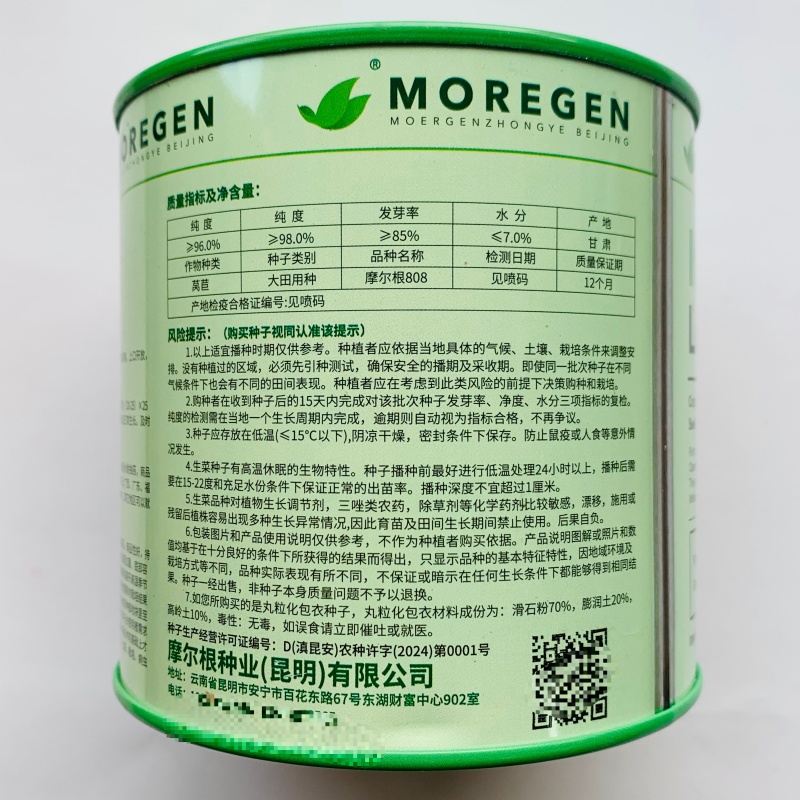 摩尔根808意大利生菜种子丸粒化包衣单粒播四季半结球生菜