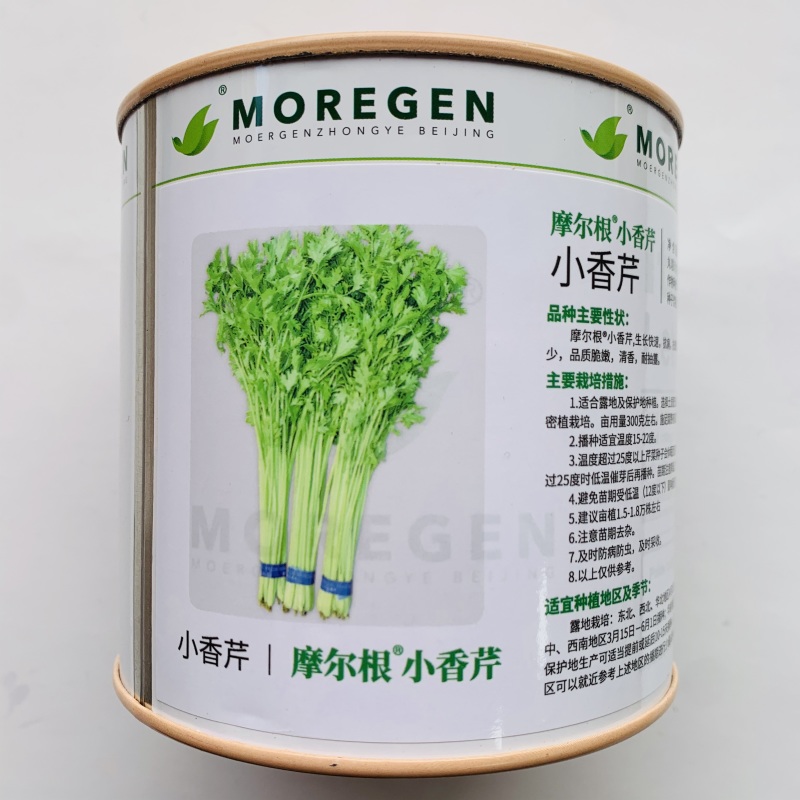 摩尔根小香芹种子粒化包衣芹菜种籽四季抗倒伏纤维少抗病脆嫩