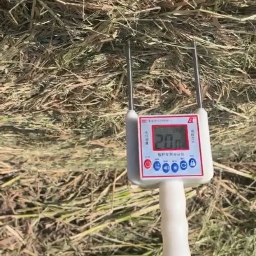 新稻草18到30水分
