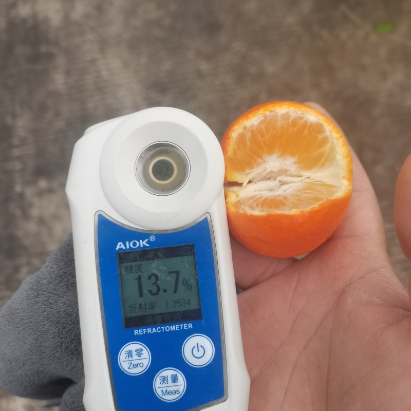 金秋砂糖橘，皮薄多汁，糖度高，颜色好，过年干净，价格便宜