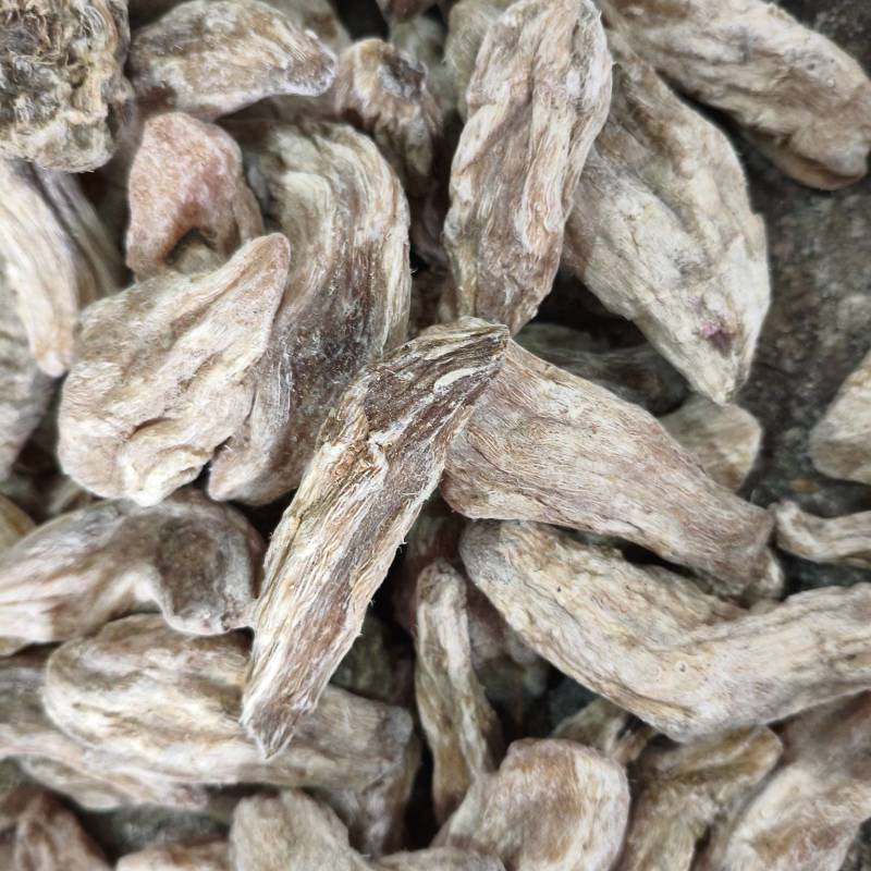 紫茉莉根