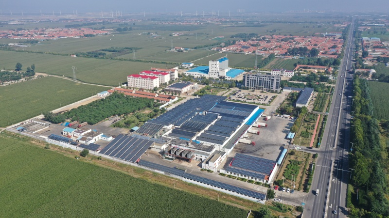 膝软骨厂家直供对接各大批发市场和商超省龙头企业供应稳定
