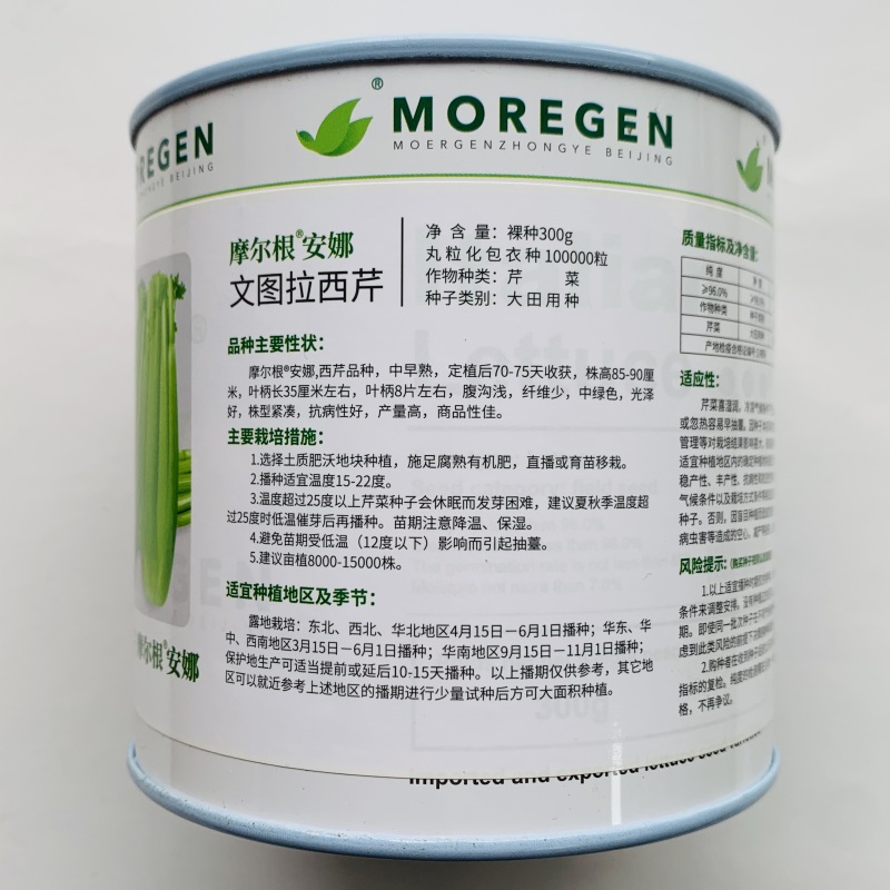 摩尔根安娜芹菜种子文图拉西芹种子纤维少高产丸粒化包衣芹菜