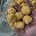 油豆腐最近活动3.5不包邮。需要的速度