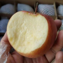 山西红富士苹果