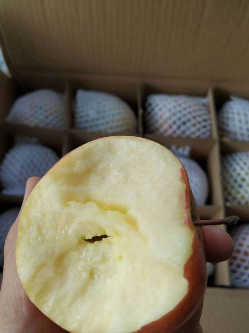 山西红富士苹果