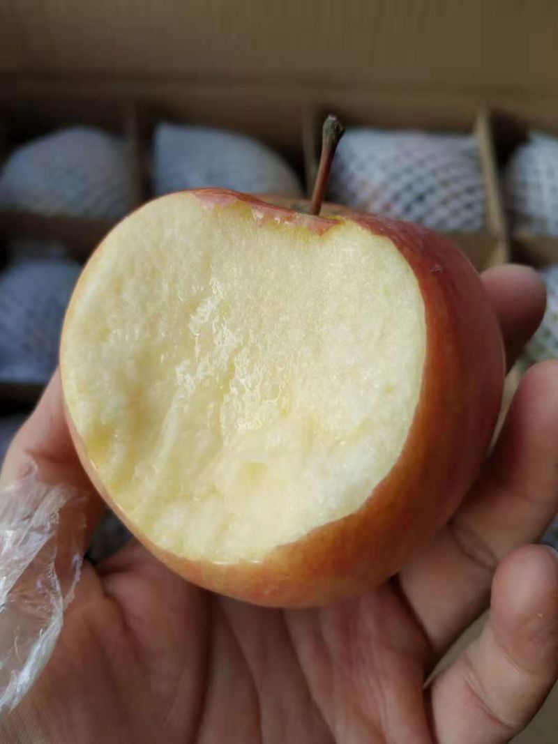 山西红富士苹果