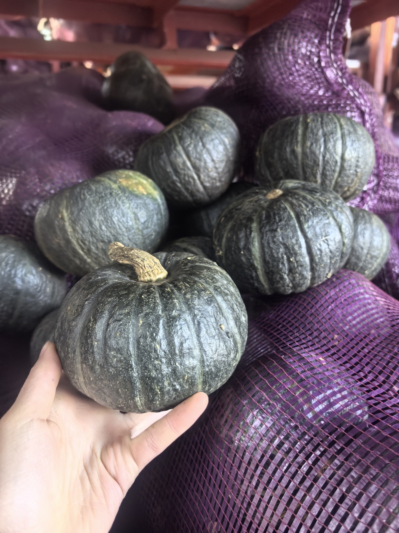 贝贝南瓜粉糯香甜板栗味足，常年供货，市场批发零售电商等