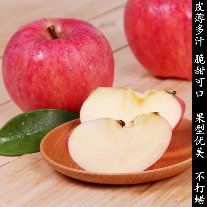 陕西洛川苹果，欢迎咨询v***********