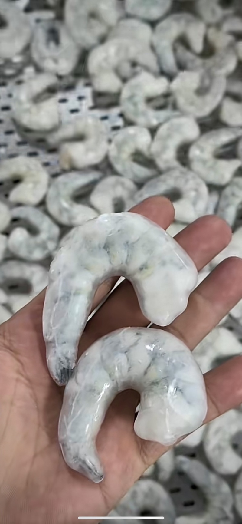青虾仁十斤装五斤一包