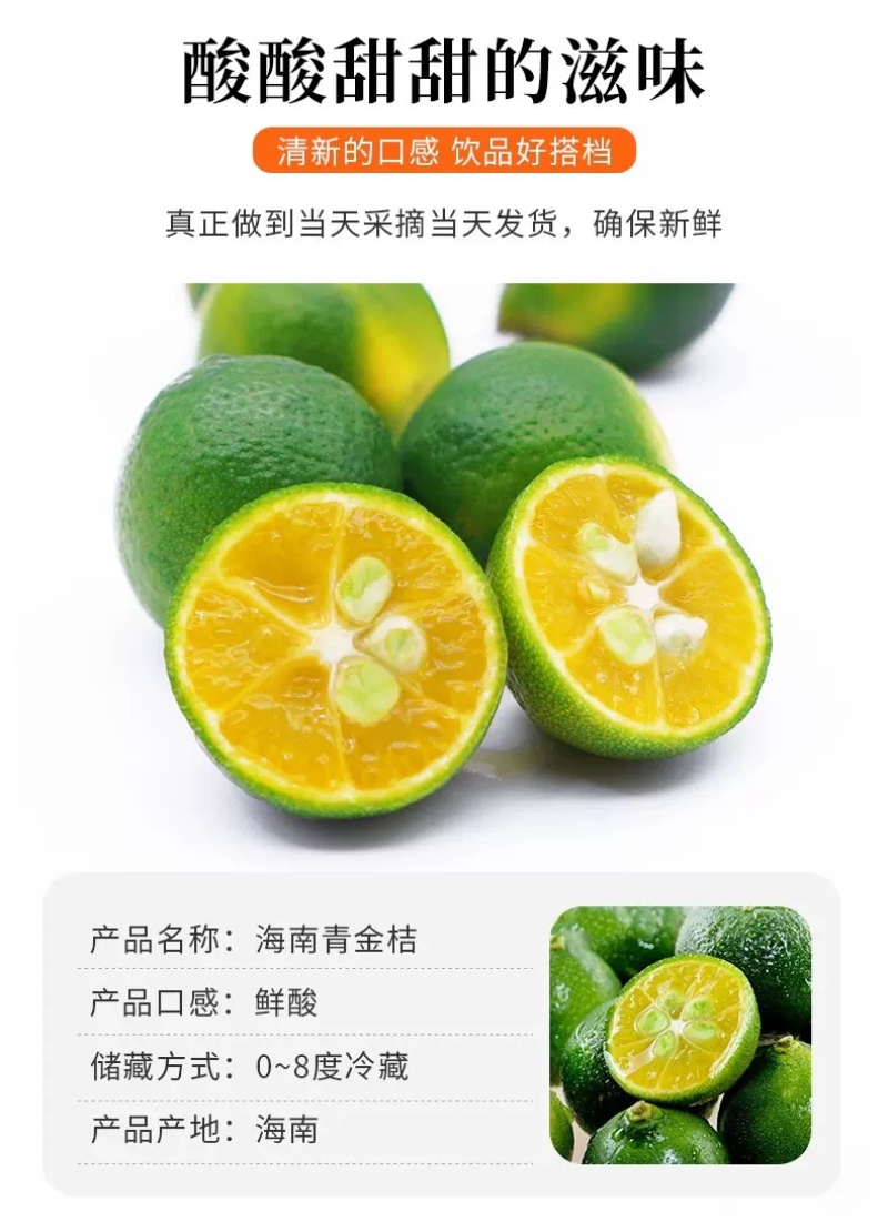 海南青金桔小柠檬奶茶专用