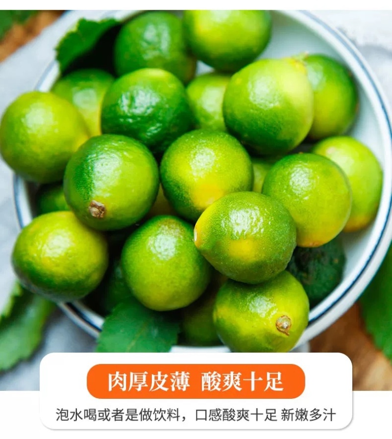海南青金桔小柠檬奶茶专用