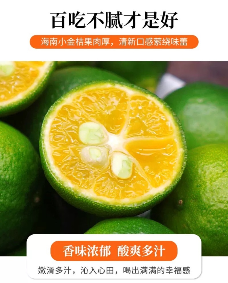 海南青金桔小柠檬奶茶专用