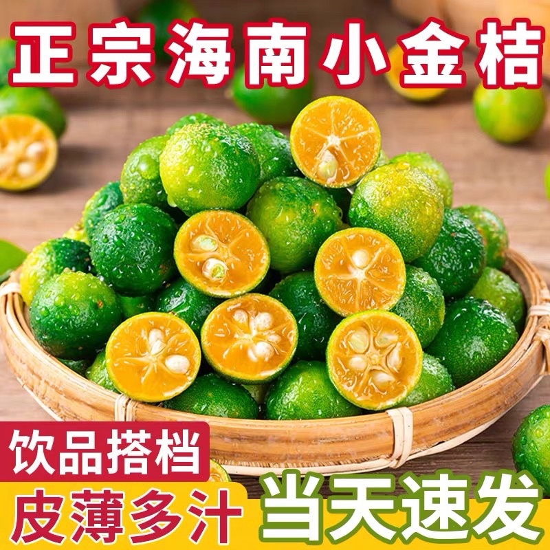 海南青金桔小柠檬奶茶专用