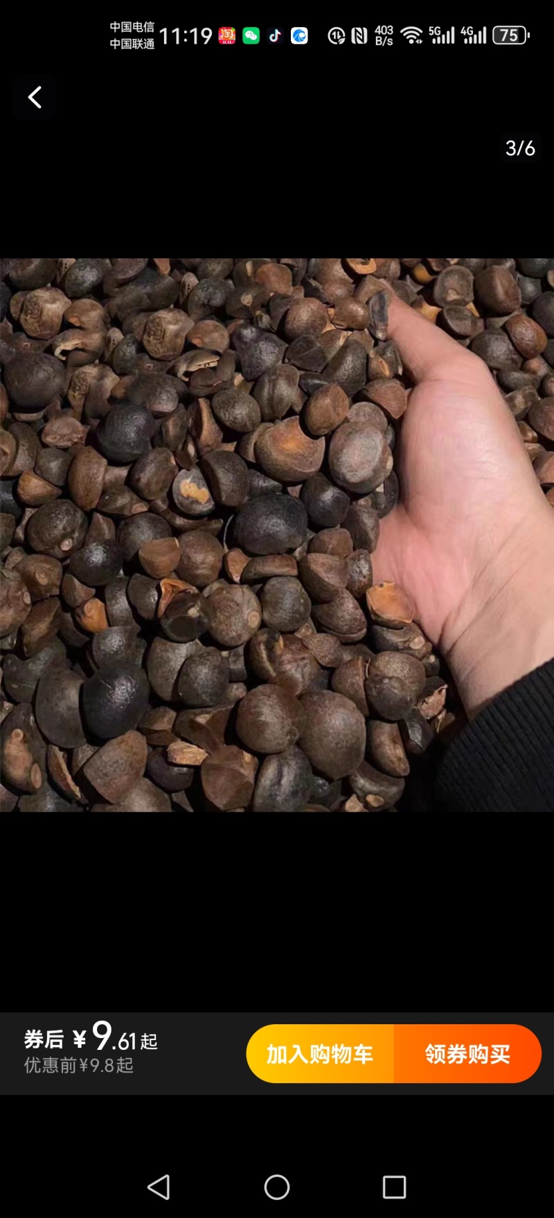 出售越南油茶籽