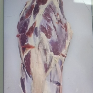 [批发-50斤牛后腱]批发一件50斤牛后腱