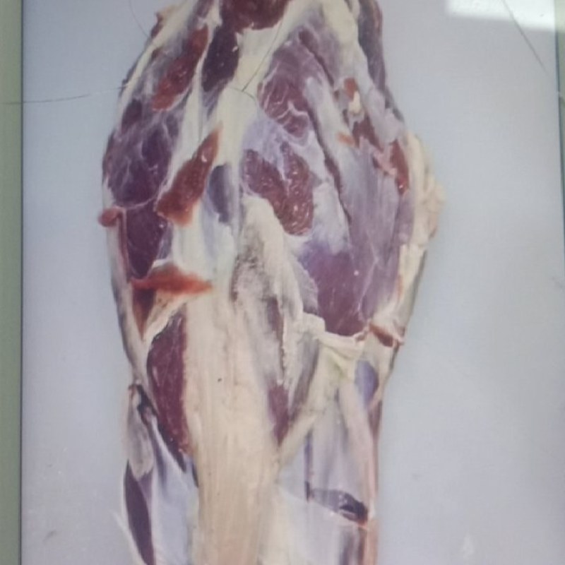 [批发-50斤牛后腱]批发一件50斤牛后腱
