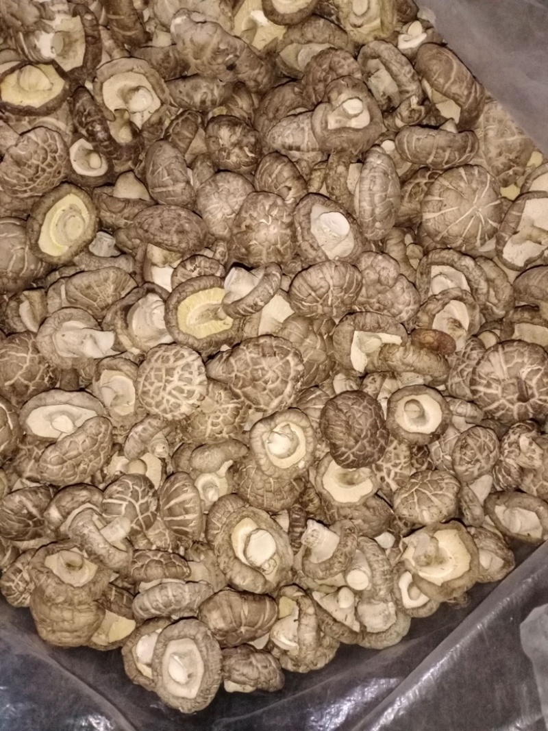 河南南阳西峡干香菇