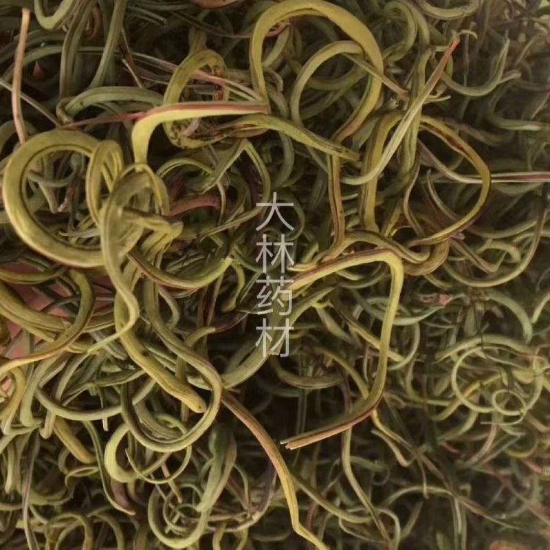 化石草【包邮】三斤起发货可批量可零售量大从优