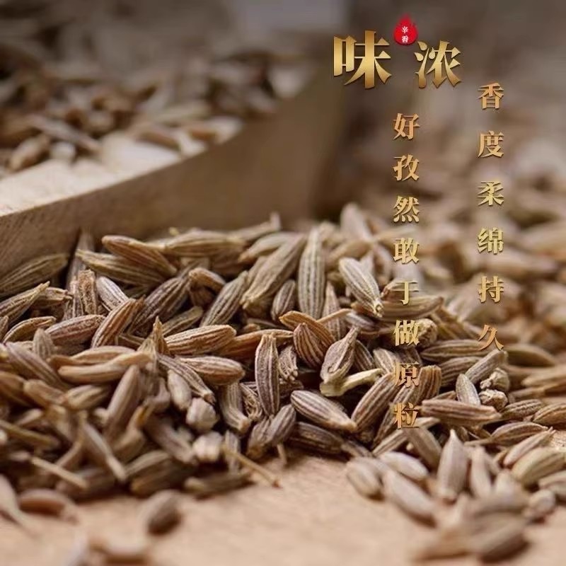 正宗新疆孜然粒整粒批发孜然香料孜然粉烧烤烤肉撒料