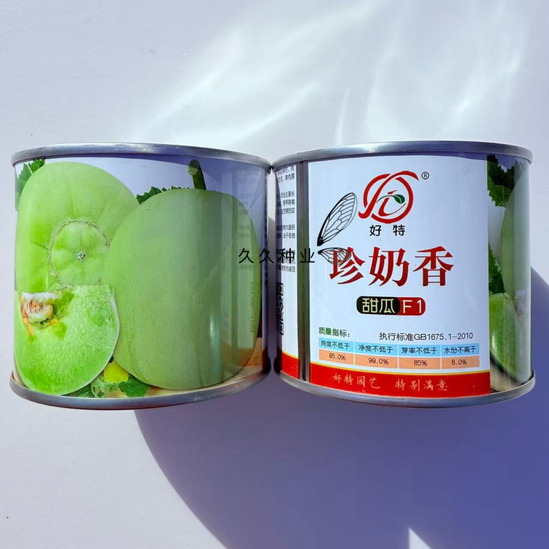 好特珍奶香甜瓜早熟杂交甜瓜种子,果实圆形果皮浅绿色有奶香