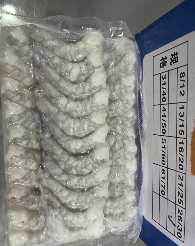 A3板A2装青虾仁8板/箱去虾线海虾仁