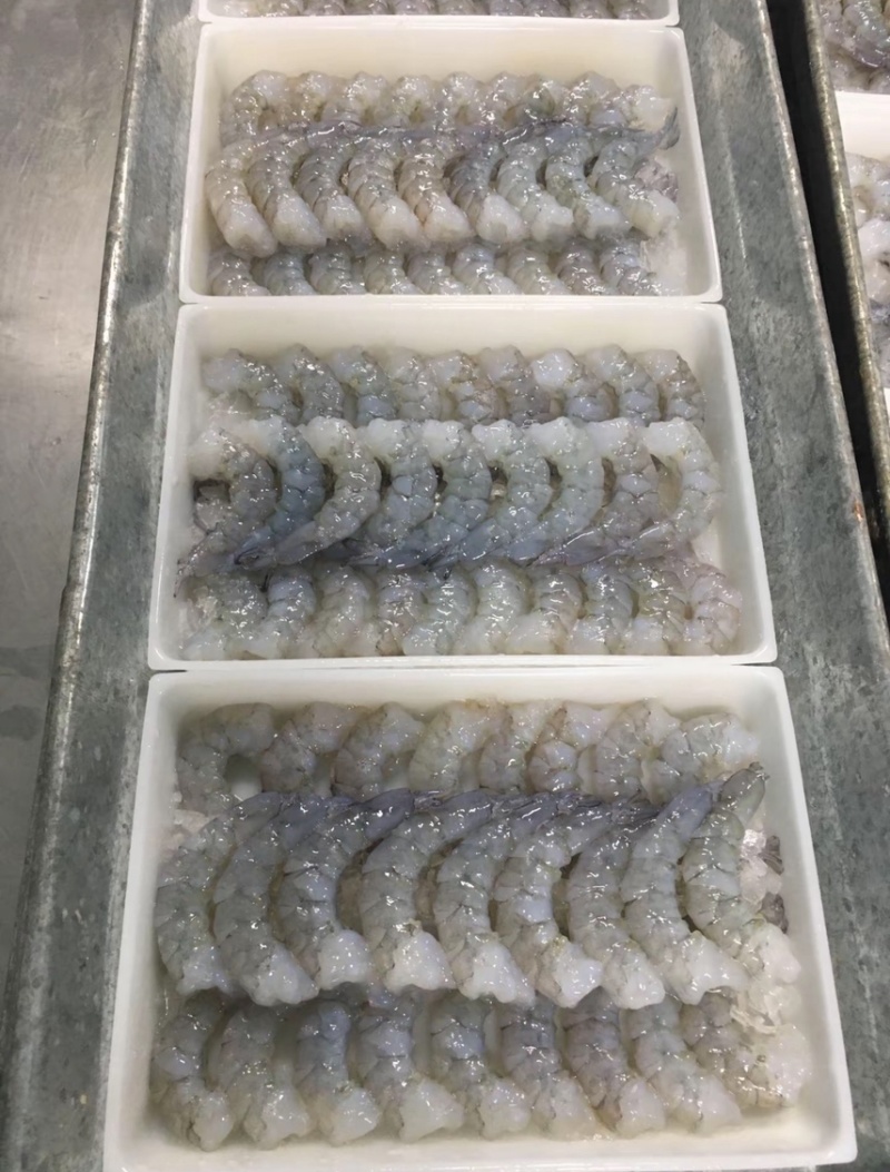 A3板A2装青虾仁8板/箱去虾线海虾仁