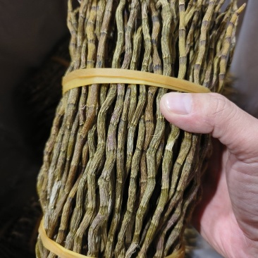 铁皮石斛干条精选粗条，一手货源，诚信经营，量大从优