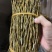 铁皮石斛干条精选粗条，一手货源，诚信经营，量大从优