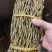 铁皮石斛干条精选粗条，一手货源，诚信经营，量大从优